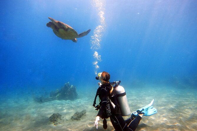scuba-diving-in-maui-with-no-experience-needed-2