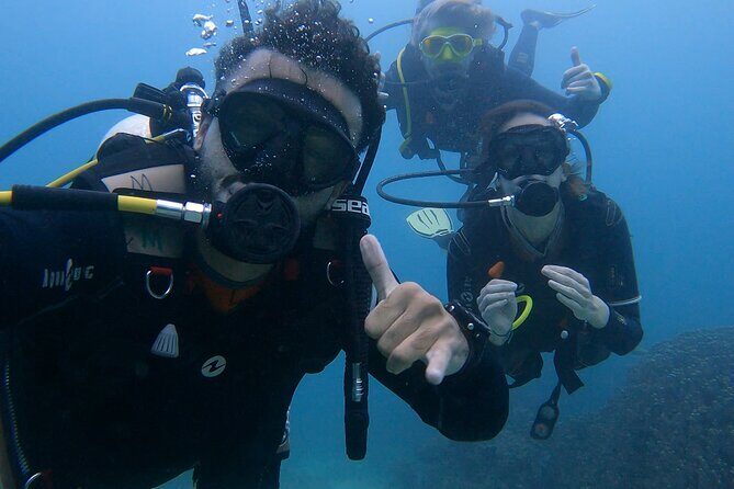 Scuba Diving in muscat - Authentic Marine Encounters and Reviewer Insights