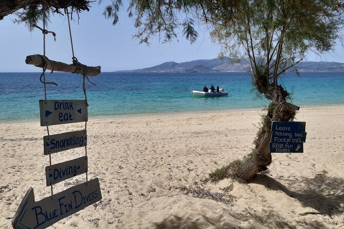 scuba-diving-in-naxos-by-bluefindivers-dive-in-greece-amazing-diving-spots