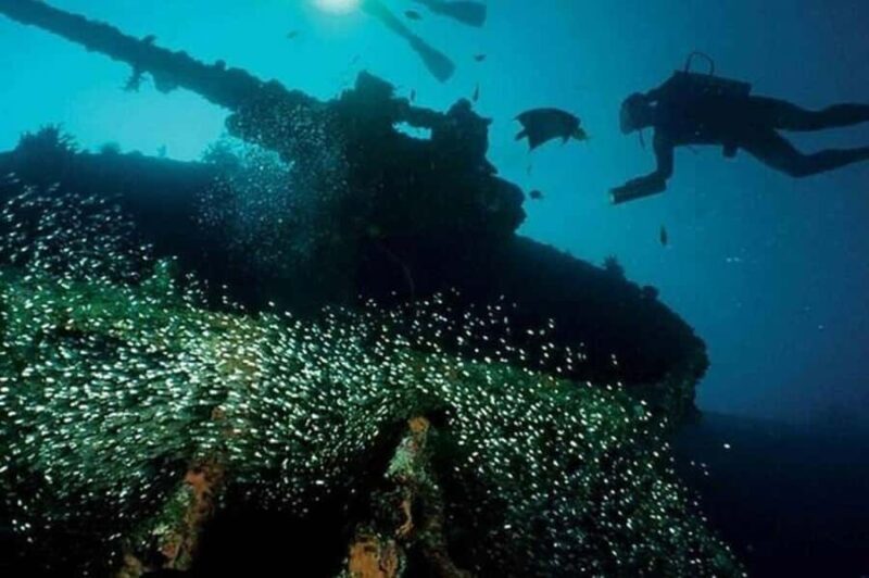 Scuba Diving in Pasikudah - What to Expect: The Dive Experience