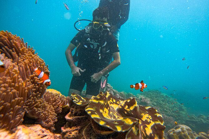 Scuba Diving in Tribe Gate - The Value of This Experience