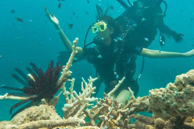 Scuba Diving in Tribe Gate - FAQs