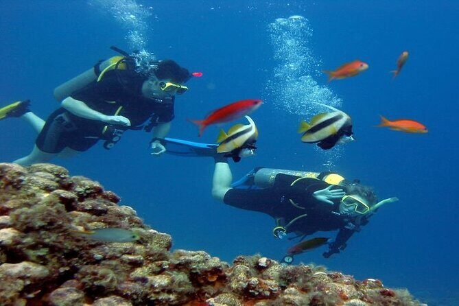 Scuba Diving Open Water PADI Course - Sharm El Sheikh - Practical Details & Tips for Travelers