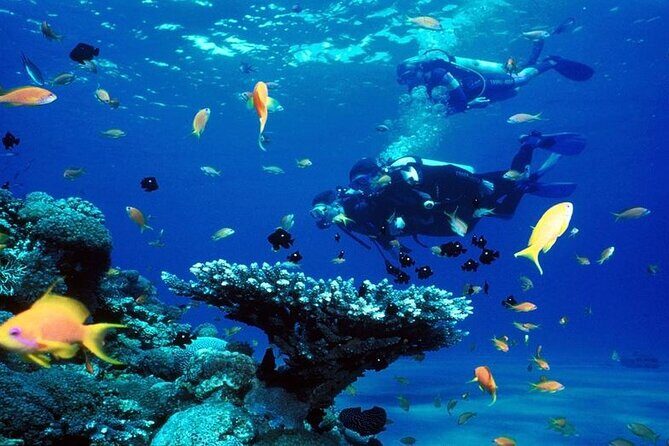 Scuba Diving Open Water PADI Course - Sharm El Sheikh - Who Will Love This Experience?