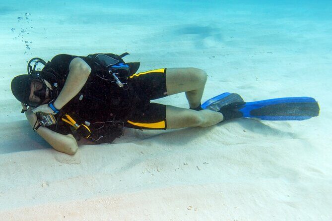 Scuba Diving Open Water PADI Course - Sharm El Sheikh - The Sum Up