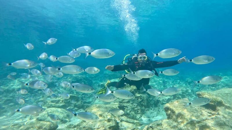 Scuba diving-private and individual No certification needed - Is This Experience Right for You?