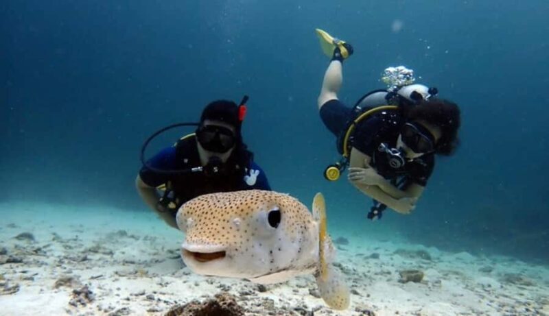 Scuba Diving Refresher(3 dives) - Key Points