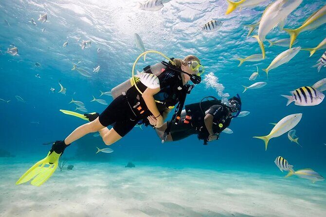 Scuba Diving Sea Trip with Lunch and Transfer from Hurghada - Key Points