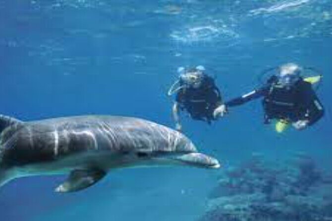 Scuba Diving Sea Trip with Lunch and Transfer from Hurghada - Who Should Consider This Tour?