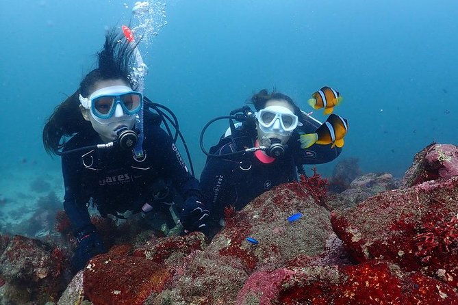 scuba-diving-snorkeling
