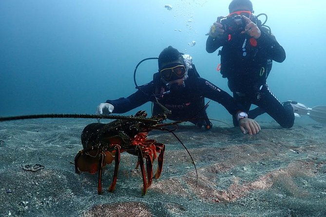 scuba-diving-snorkeling