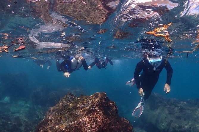 scuba-diving-snorkeling