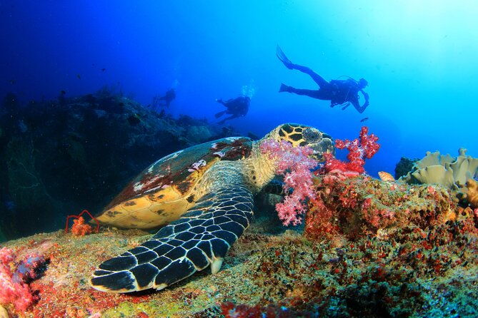 scuba-diving-tour-in-antalya-with-lunch-and-transfer-2