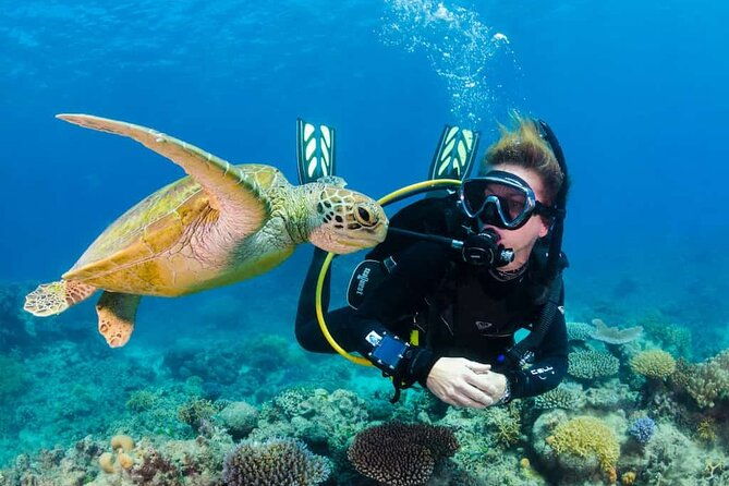 scuba-diving-tour-in-kemer-with-lunch-and-transfer