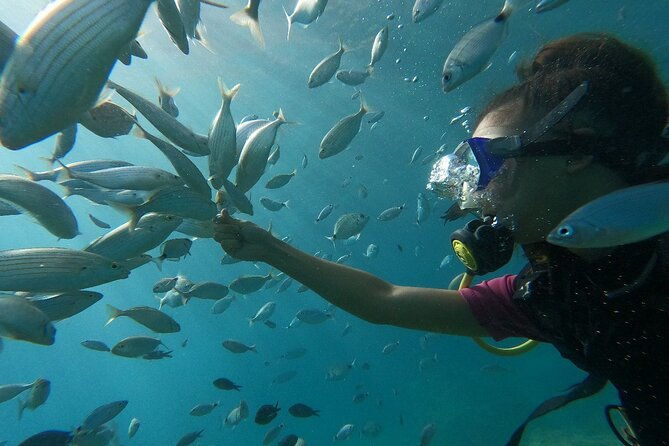 scuba-diving-tour-with-lunch-in-alanya