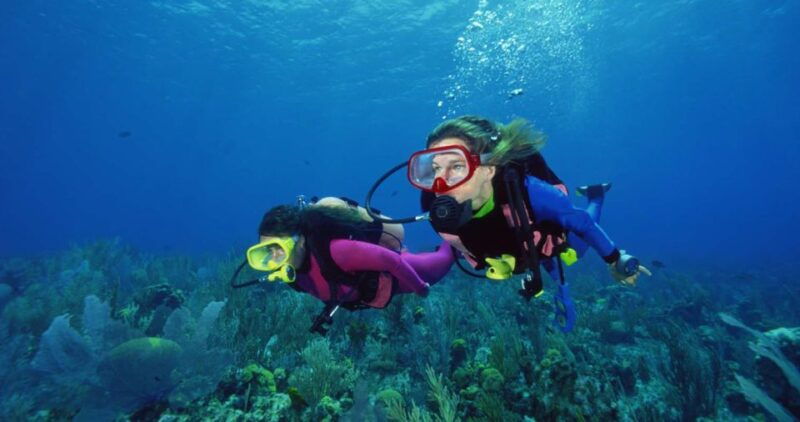 scuba-diving-tour-with-transfer-from-alanya-and-city-of-side