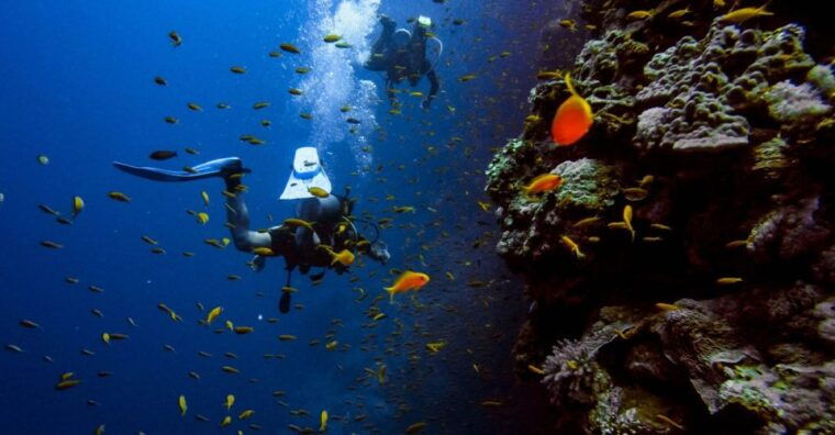 scuba-diving-tour-with-transfer-from-alanya-and-city-of-side