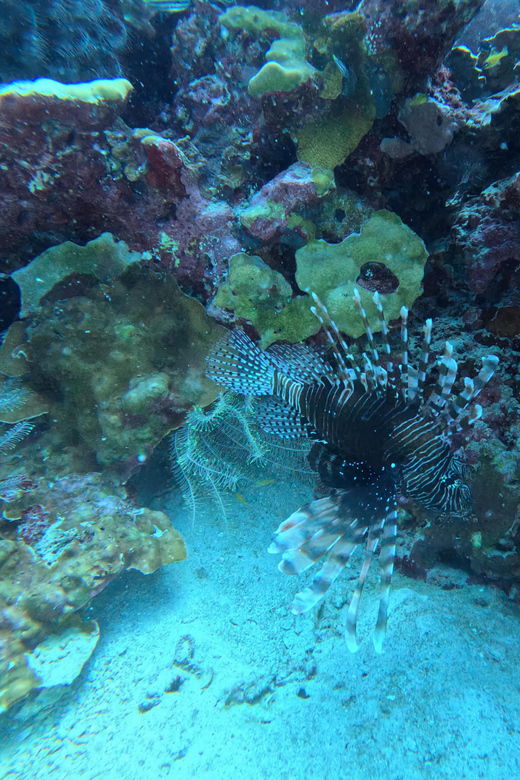 scuba-diving-trip-by-boat-to-the-beloved-spots-near-phuket