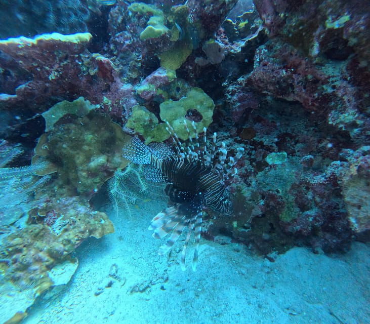 scuba-diving-trip-by-boat-to-the-beloved-spots-near-phuket