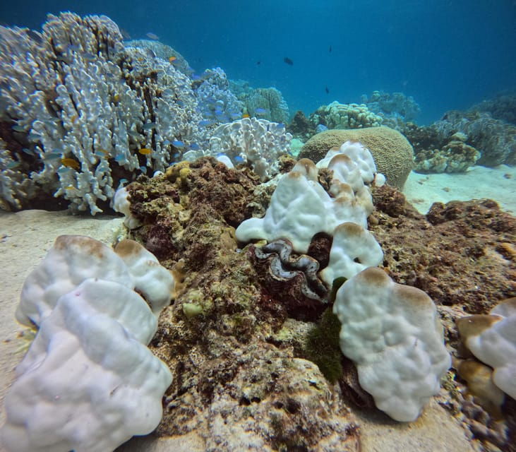 scuba-diving-trip-by-boat-to-the-beloved-spots-near-phuket