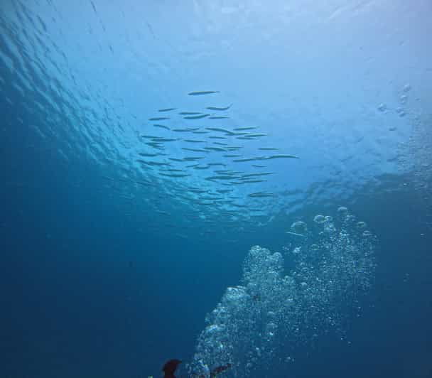 scuba-diving-trip-by-boat-to-the-beloved-spots-near-phuket
