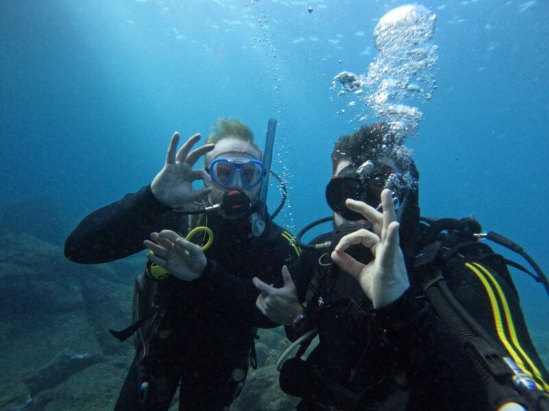 Scuba Diving trips for Certified Divers in Tenerife - The Dive Experience in Detail