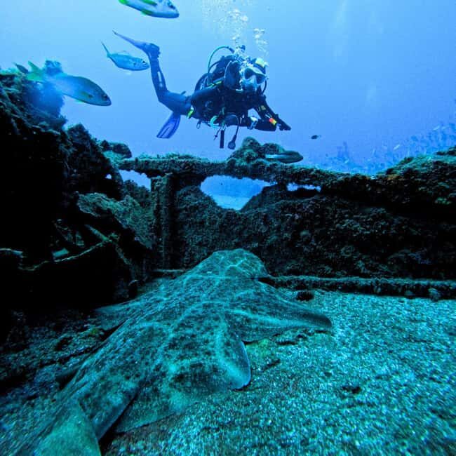 Scuba Diving trips for Certified Divers in Tenerife - The Value of This Experience