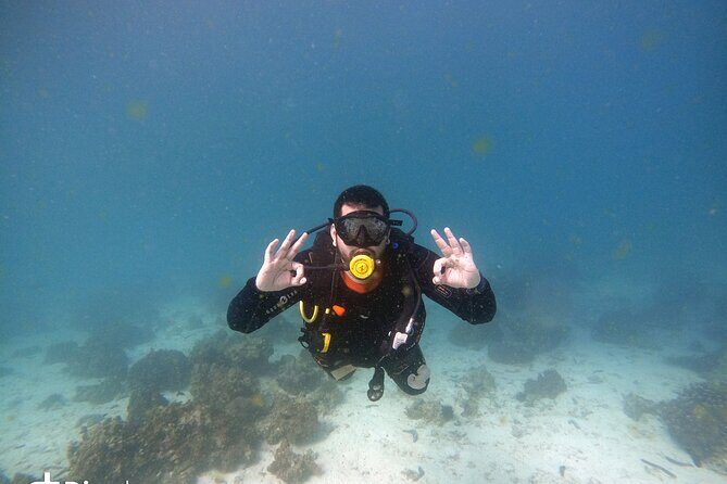 Scuba Diving Trips to Dimaniyat Islands - Why This Tour Offers Great Value