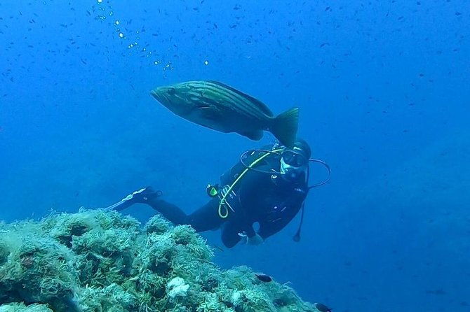 scuba-experience