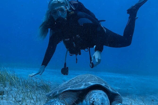scuba-experience-in-tenerife-with-guide-2