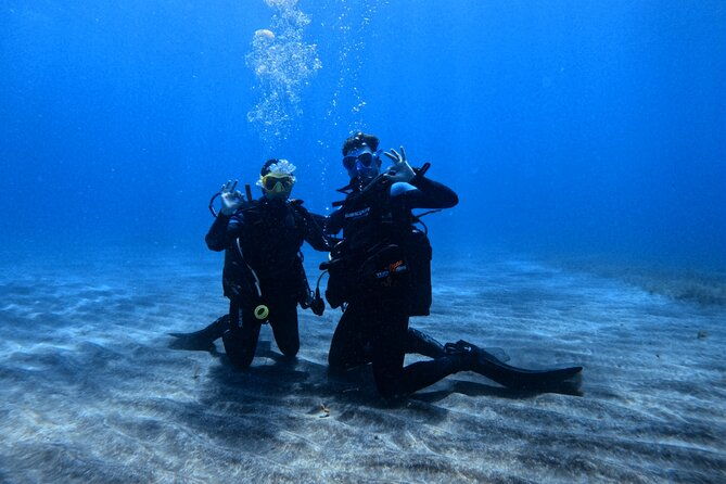 scuba-experience-in-tenerife-with-guide
