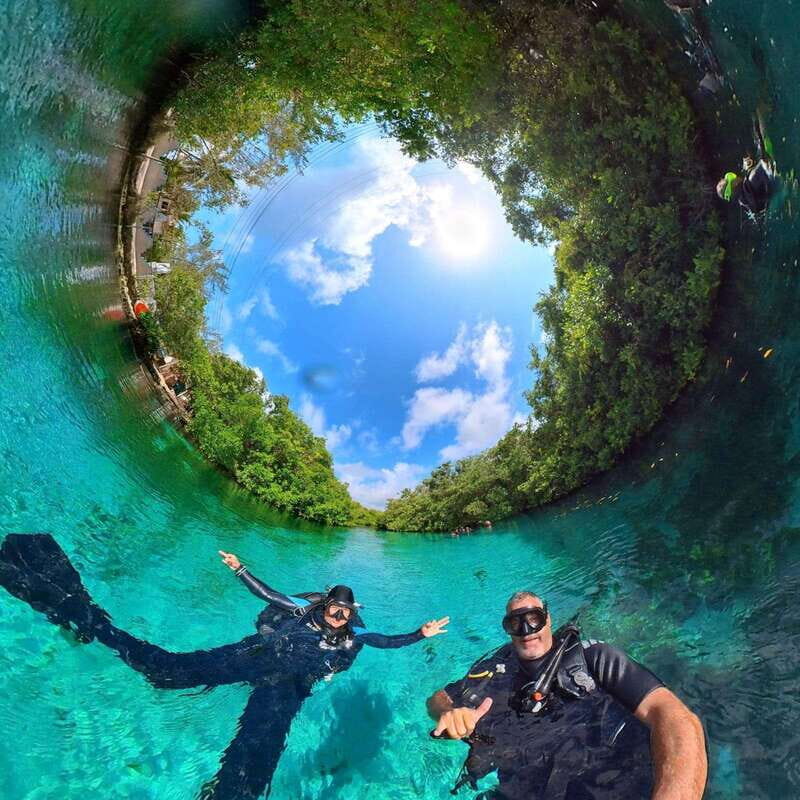 Scuba in 2 cenotes in a half-day - Key Points