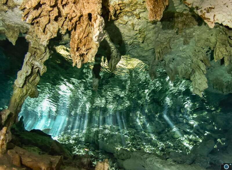 Scuba in 2 cenotes in a half-day - Authentic Experiences & Real Guest Insights