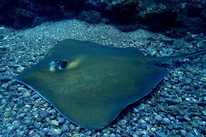 scuba-refresher-course-half-day