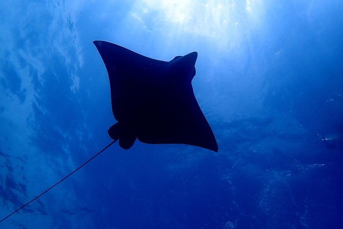 scuba-refresher-course-half-day