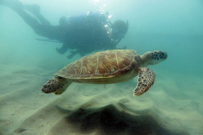 scuba-tour-for-certified-divers-in-san-juan