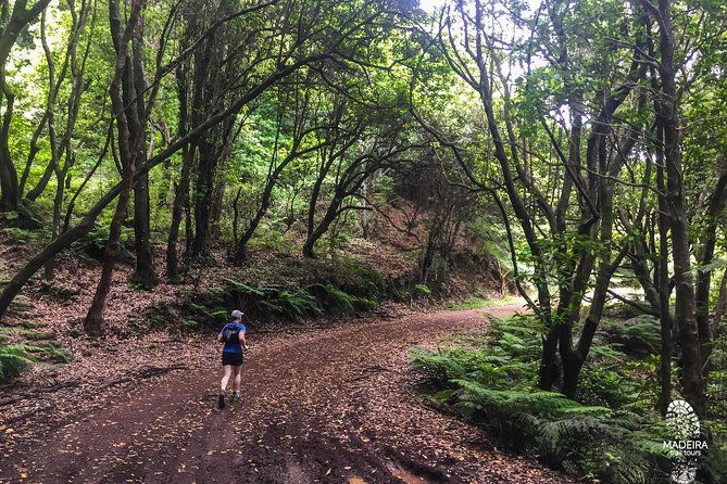 sea-2-mountain-running-tour-moderate-hard-2
