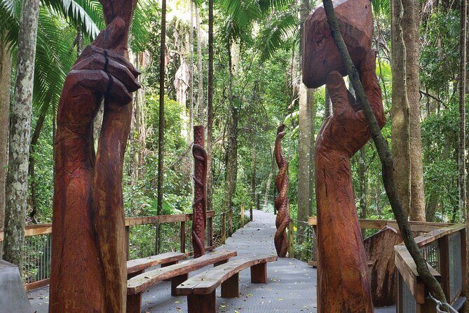 Sea Acres National Park: Sea Acres Aboriginal Coastal Tour - Exploring Sea Acres Aboriginal Coastal Tour: A Genuine Cultural Experience in Port Macquarie