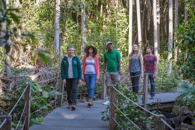 Sea Acres Rainforest Boardwalk Tour - Exploring the Sea Acres Rainforest Boardwalk Tour – A Natural Escape Near Port Macquarie