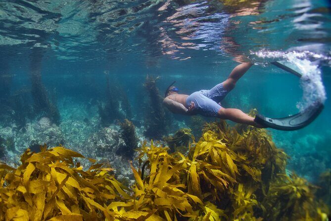 Sea Cave Adventures in Whitianga - Who Will Love This Tour?