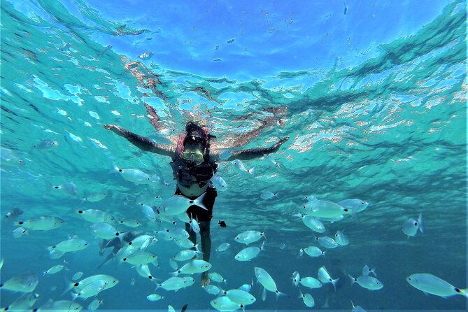 sea-caves-snorkeling-and-beaches-paddle-boarding-tour