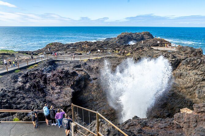 Sea Cliff Bridge Tours with Whale Watching and Wine Tasting - Who Would Love This Tour?
