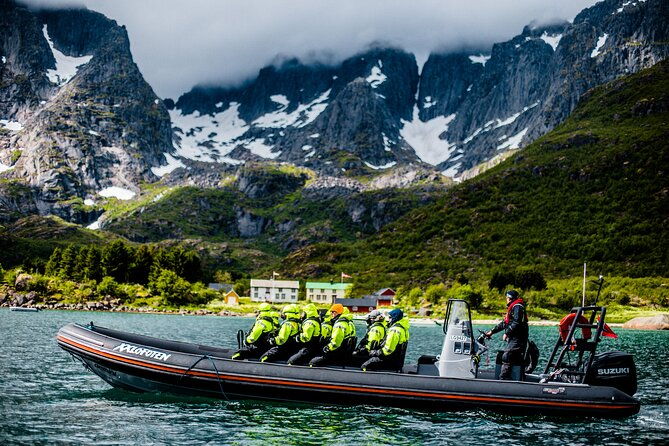 sea-eagle-safari-from-svolvaer-to-trollfjorden