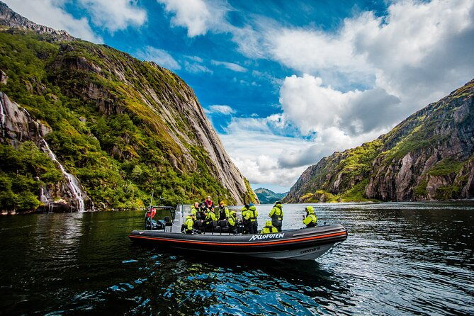 sea-eagle-safari-from-svolvaer-to-trollfjorden