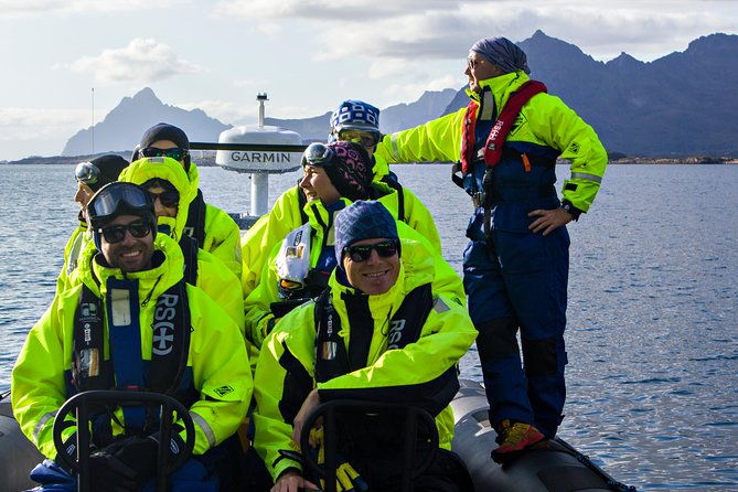 sea-eagle-safari-from-svolvaer-to-trollfjorden