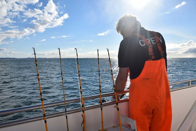 sea-fishing-experience-from-reykjavik