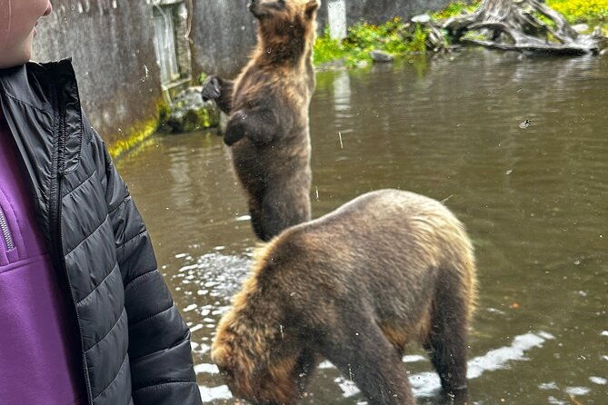sea-it-all-private-sitka-wildlife-land-sea-combo-for-6-w-meal