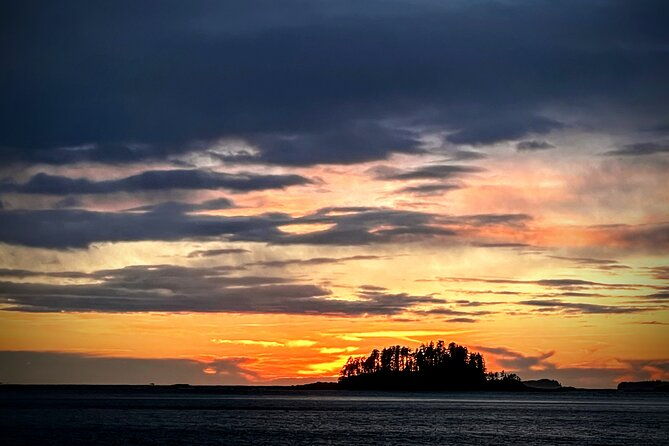 sea-it-all-private-sitka-wildlife-land-sea-combo-for-6-w-meal