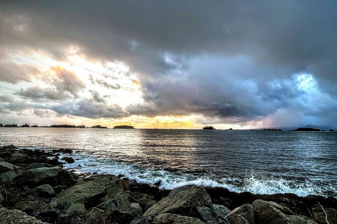 sea-it-all-private-sitka-wildlife-land-sea-combo-for-6-w-meal