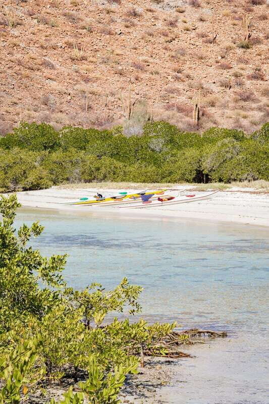 Sea Kayak Tour - Marine Safari - Key Points